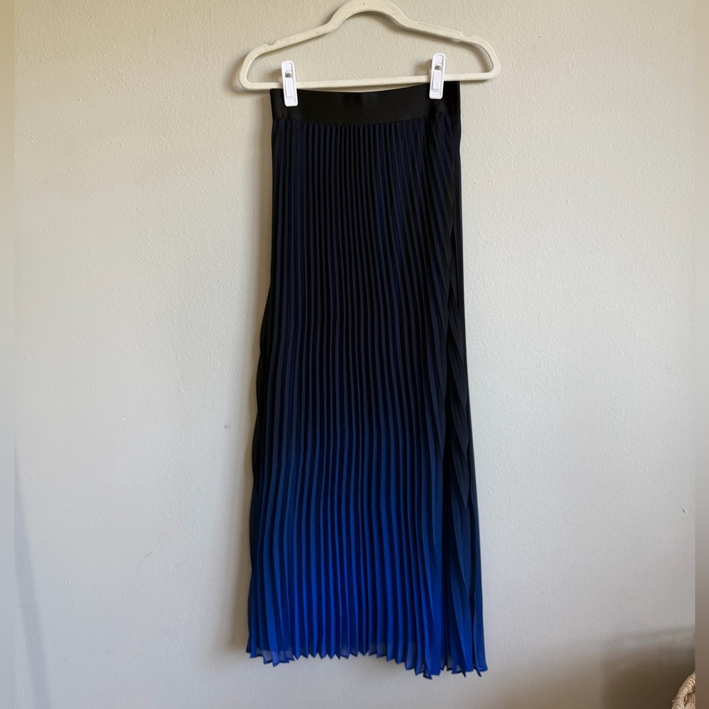 Express Black Pleated Skirt